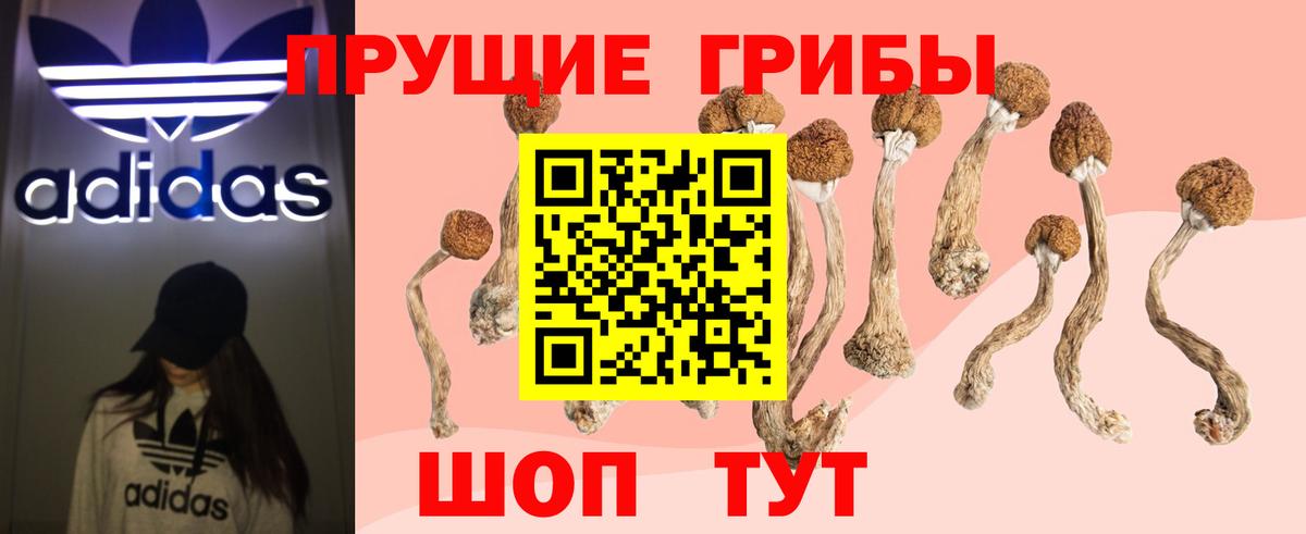 Галлюциногенные грибы Magic Shrooms Фурманов